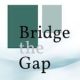 Bridge The Gap